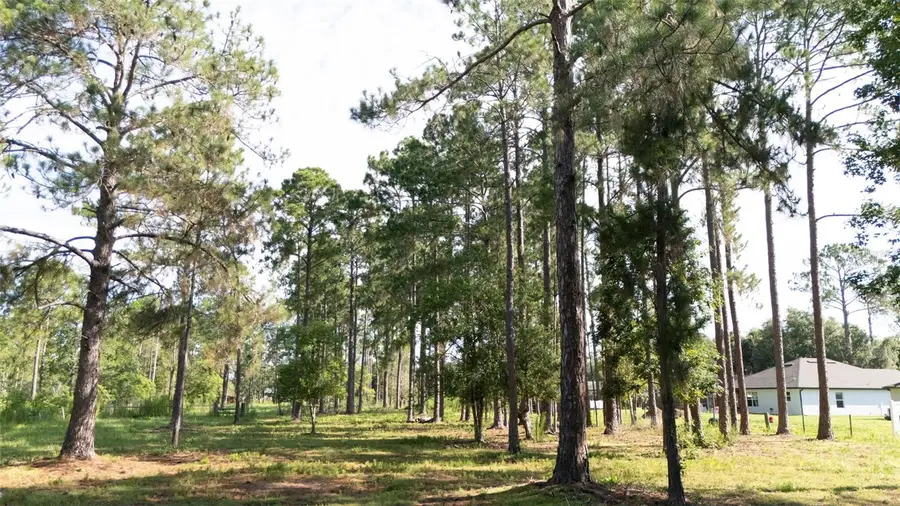 No Street, Deland, FL 32720 - #3