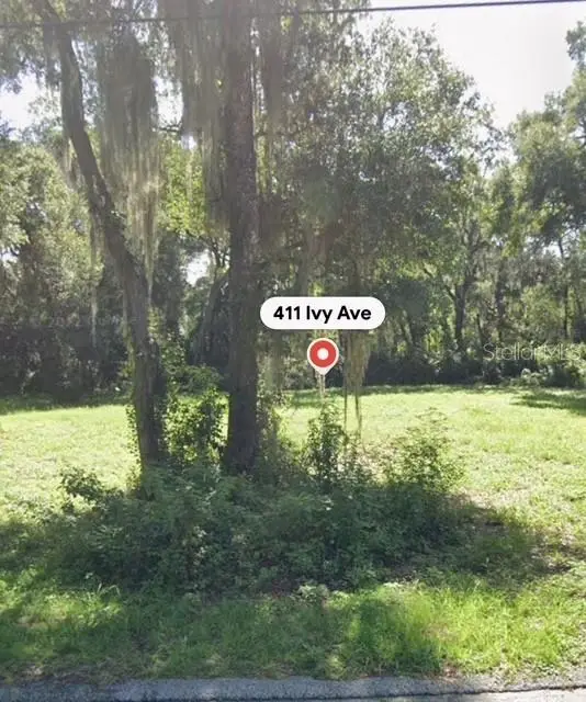 411 Ivy Avenue, DELAND, FL 32724