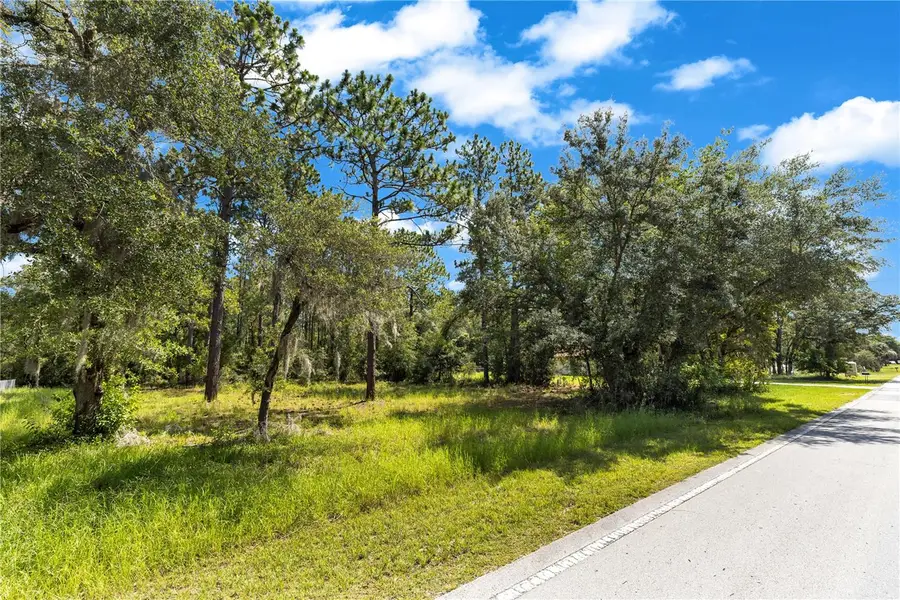 Lot 40 Sw Marine Blvd, Dunnellon, FL 34431 - #2