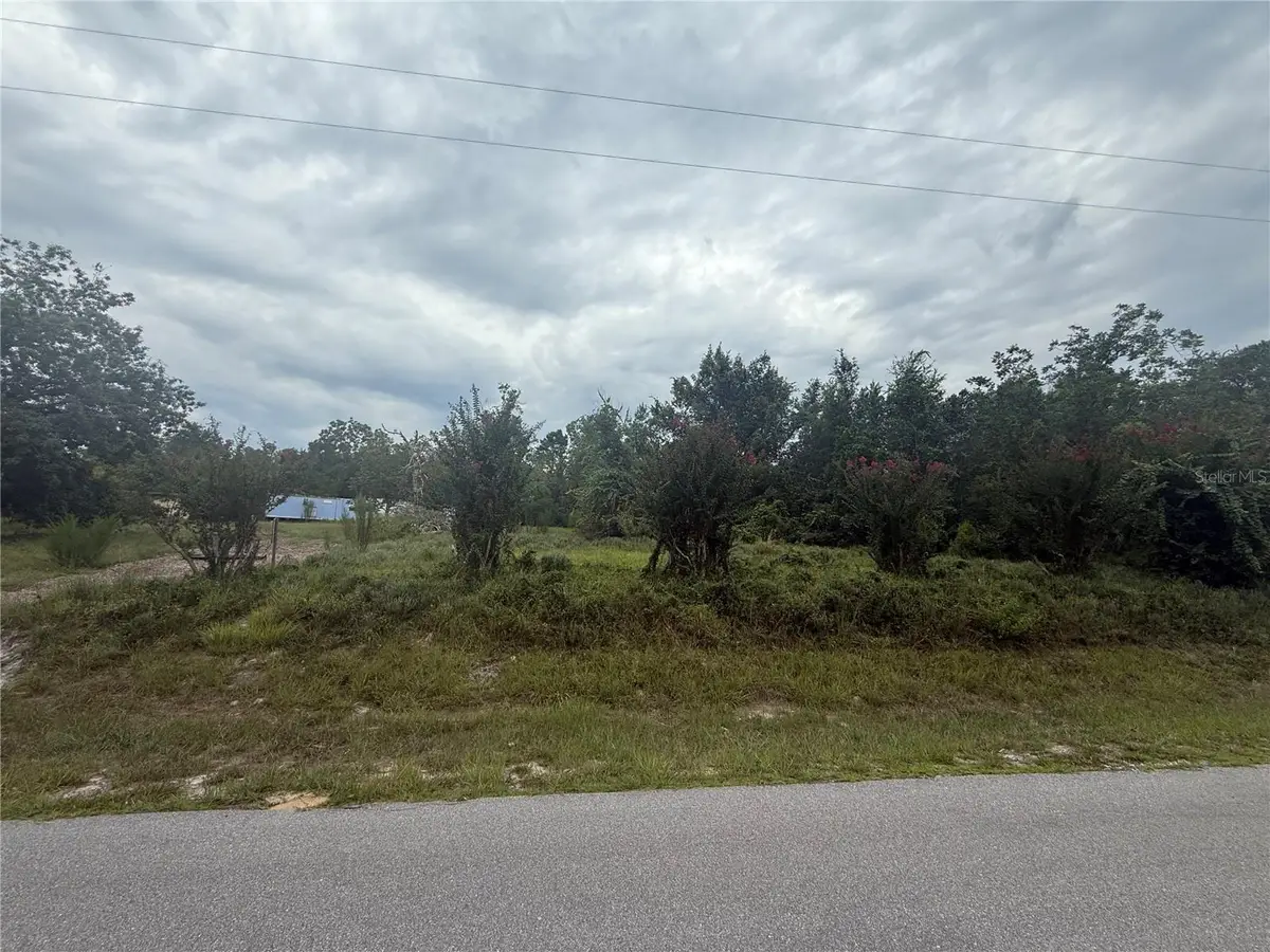 31514 Division Street, Deland, FL 32720 - #1