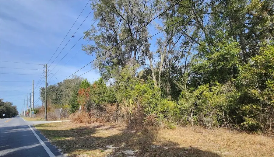 Se 36th Ct, Summerfield, FL 34491 - #2