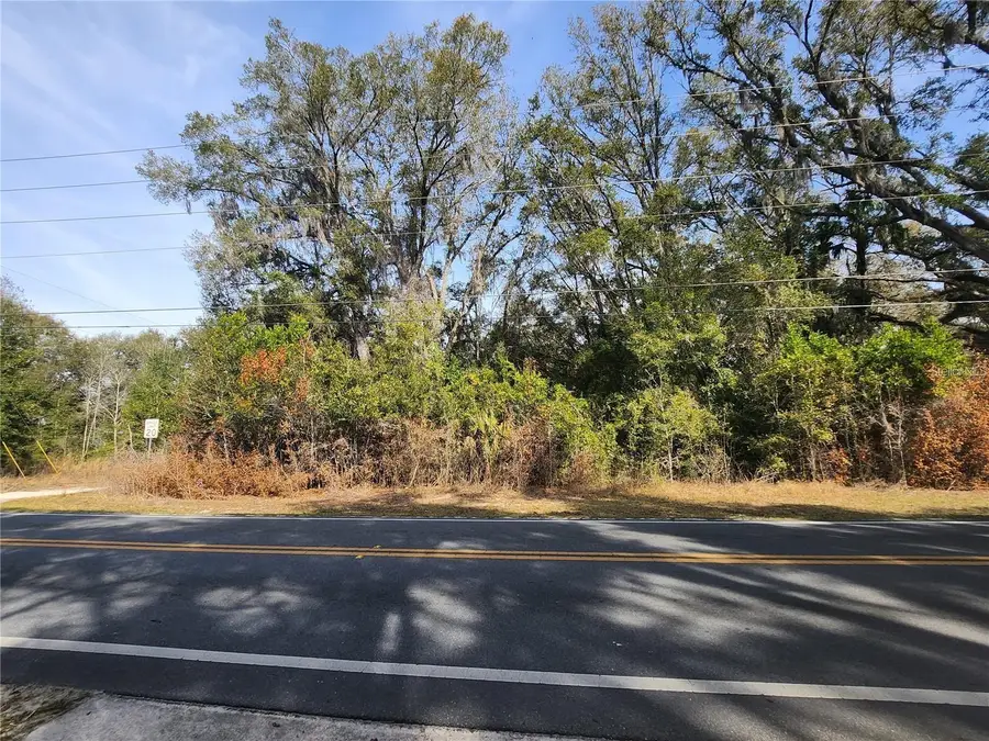 Se 36th Ct, Summerfield, FL 34491 - #3