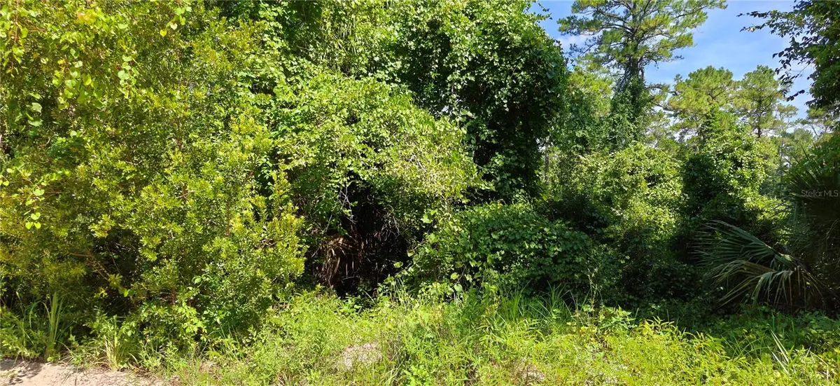 212 N 2nd Avenue, Satsuma, FL 32189 - #1