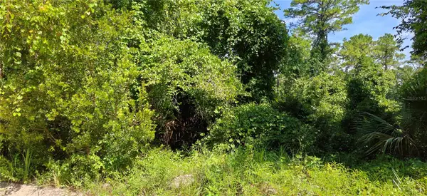 212 N 2nd Avenue, SATSUMA, FL 32189