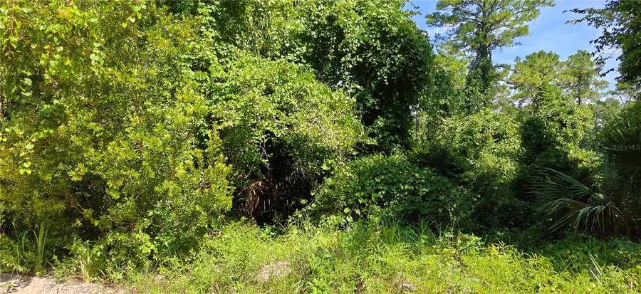 212 N 2nd Avenue, Satsuma, FL 32189 - #3