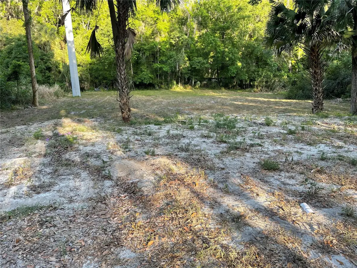 Park Avenue, De Leon Springs, FL 32130 - #1
