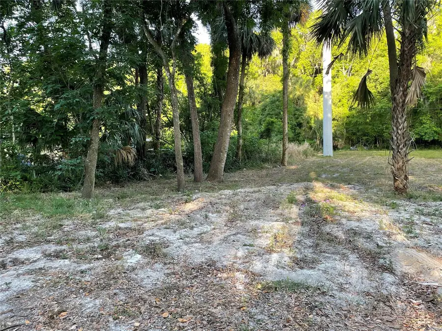 Park Avenue, De Leon Springs, FL 32130 - #3