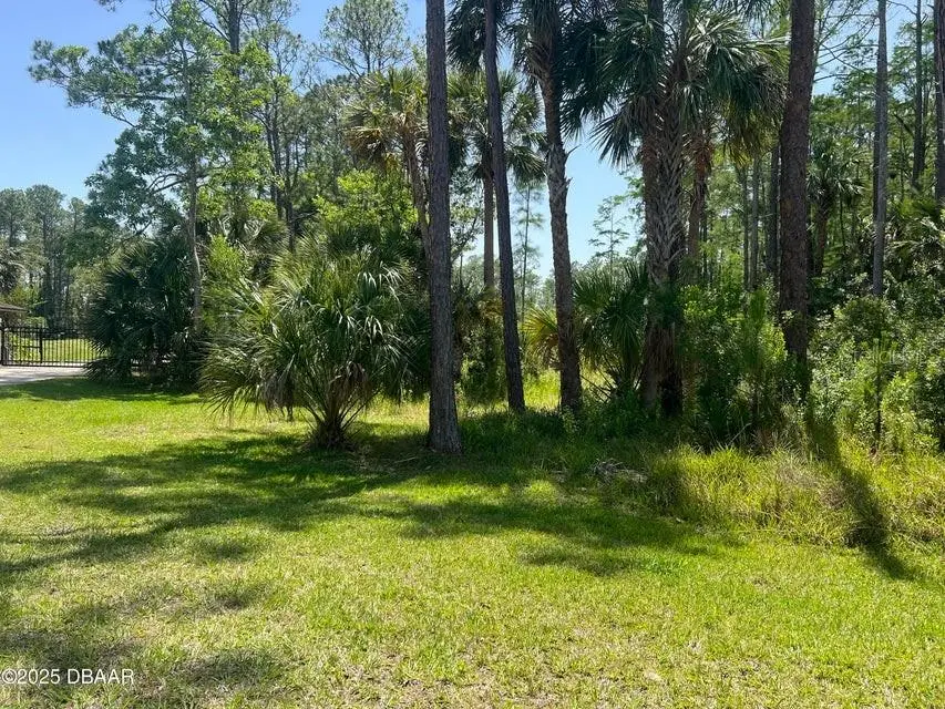 3 Remington Road, Ormond Beach, FL 32174 - #1