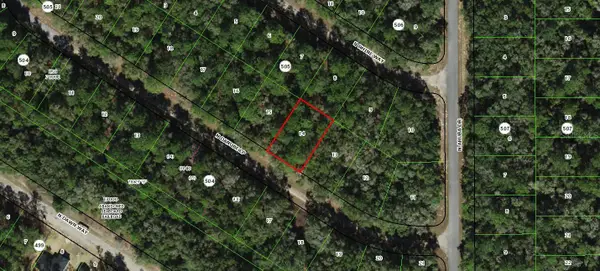 9143 N Danube Loop, CITRUS SPRINGS, FL 34434