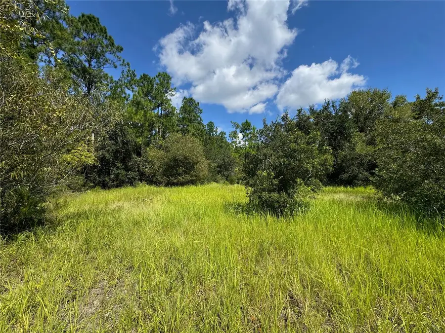 2750 Big John Drive, Deland, FL 32724 - #3