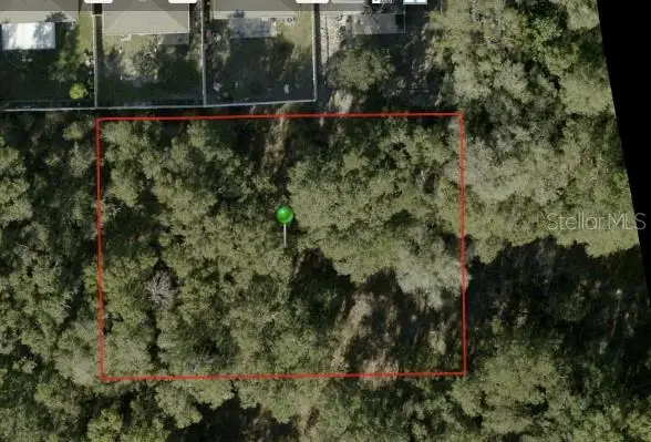 Ivy Avenue, Deland, FL 32724 - #1