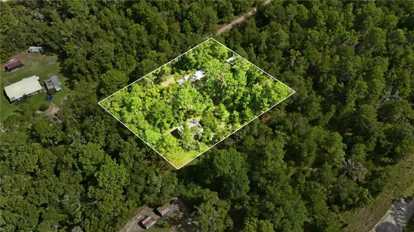 105 Perry Avenue, SATSUMA, FL 32189