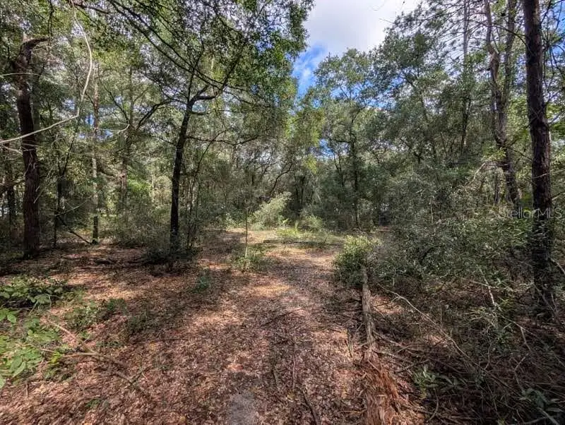 126 Cherry Drive, Pomona Park, FL 32181 - #3