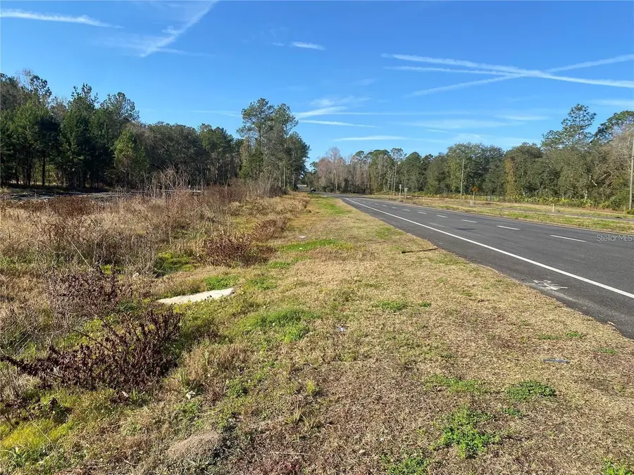 956 Us Highway 17, Satsuma, FL 32189 - #2