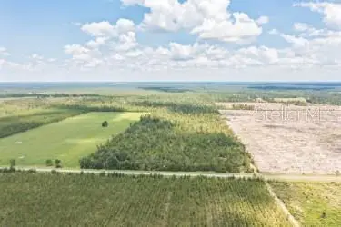 CR 53, Lee, FL 32059 - #2
