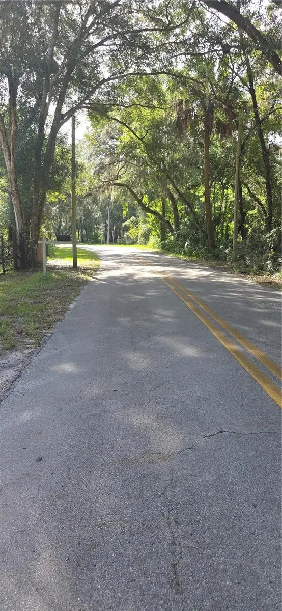 407 Raulerson Road, Seville, FL 32190 - #2
