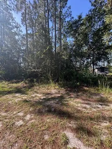 Woodland Avenue, Paisley, FL 32767 - #3
