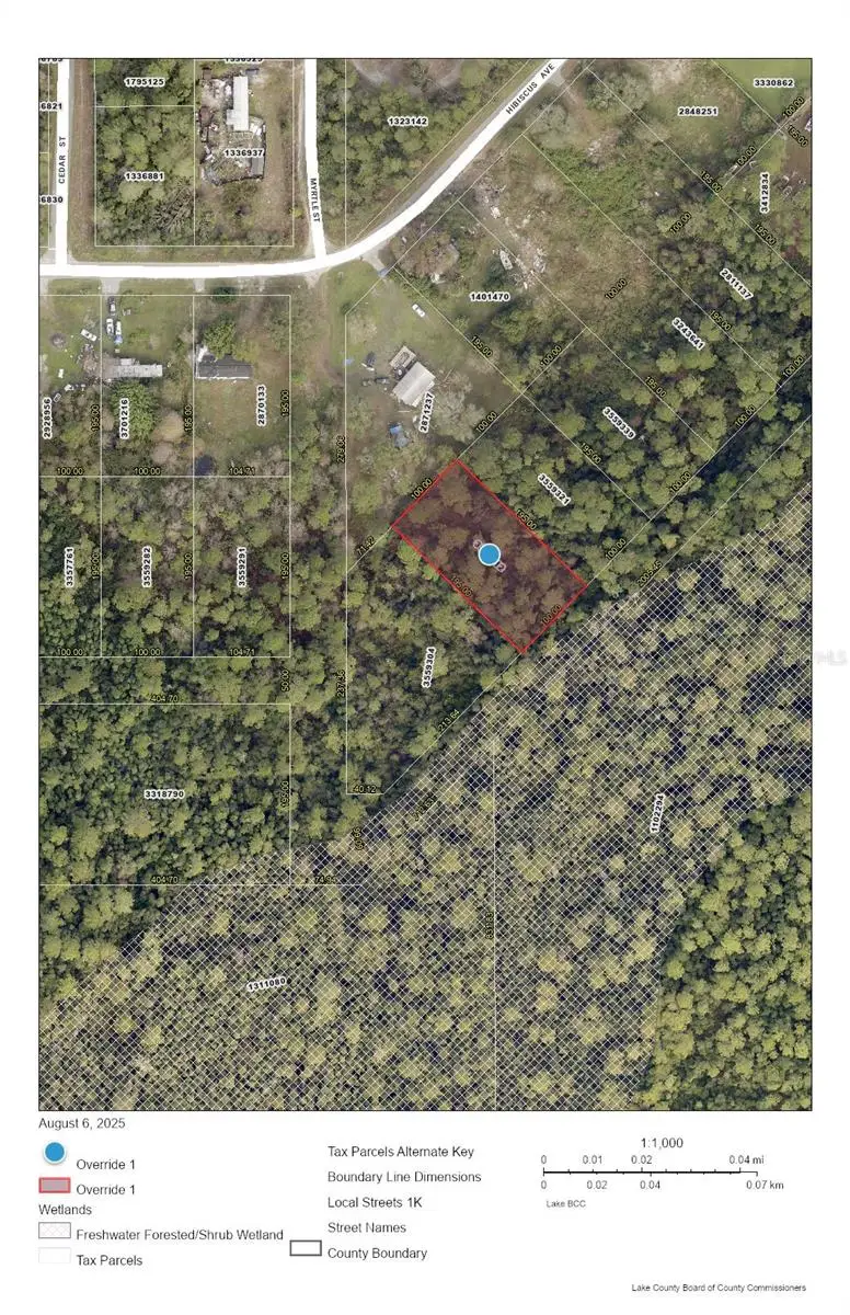 Raccoon Street, Paisley, FL 32767 - #1