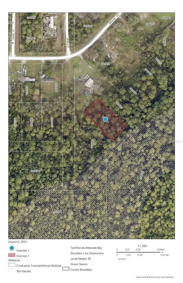 Raccoon Street, PAISLEY, FL 32767