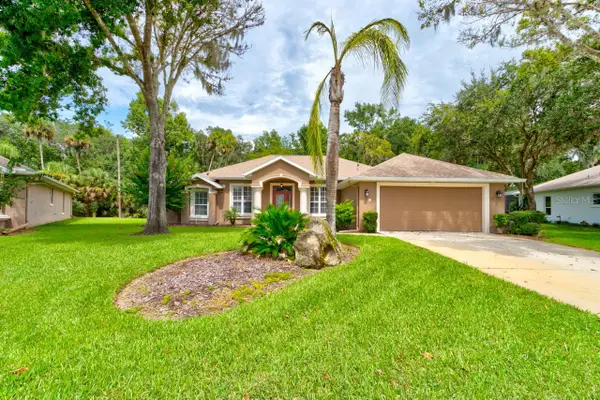 19 Waterbluff Drive, ORMOND BEACH, FL 32174