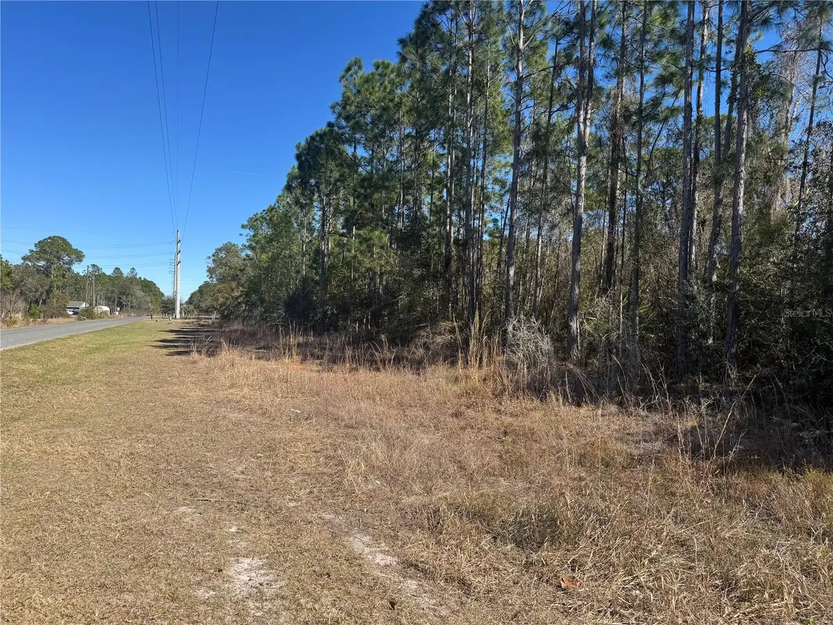 Grace Avenue, Deland, FL 32720 - #1