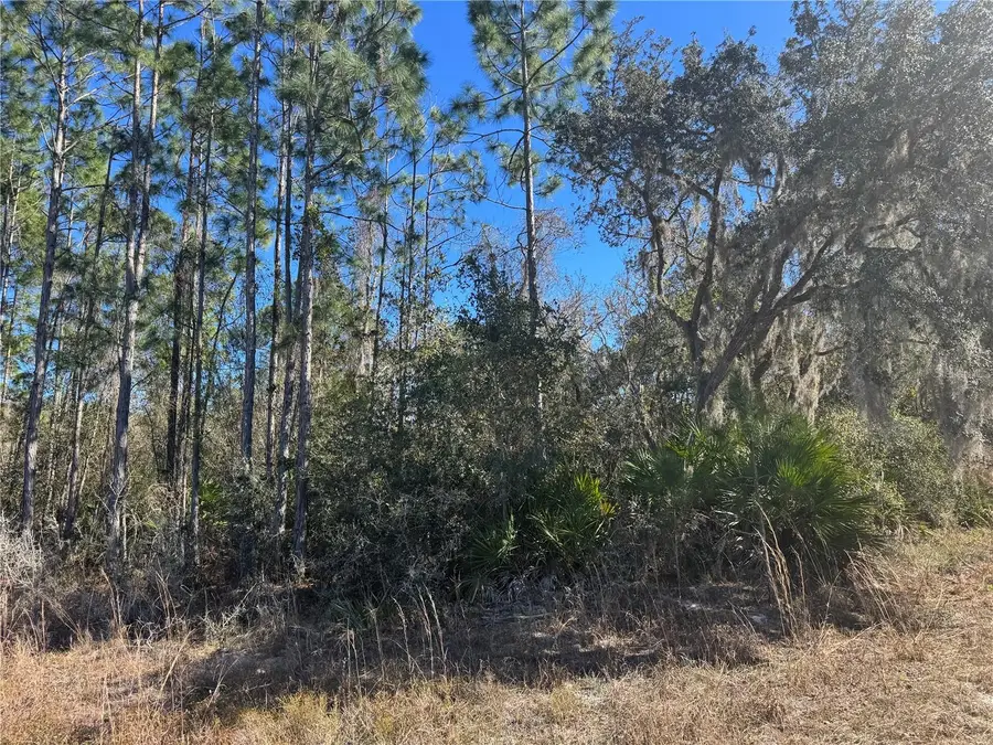 Grace Avenue, Deland, FL 32720 - #2