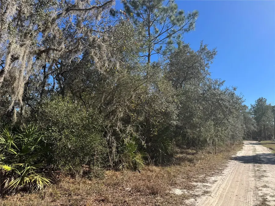 Grace Avenue, Deland, FL 32720 - #3