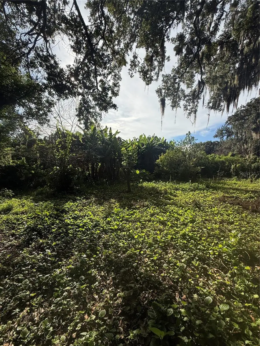 Willow Avenue, Sanford, FL 32773 - #2