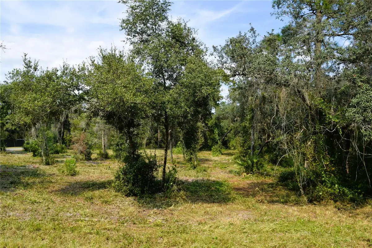 625 Lake Butler Avenue, Osteen, FL 32764 - #1