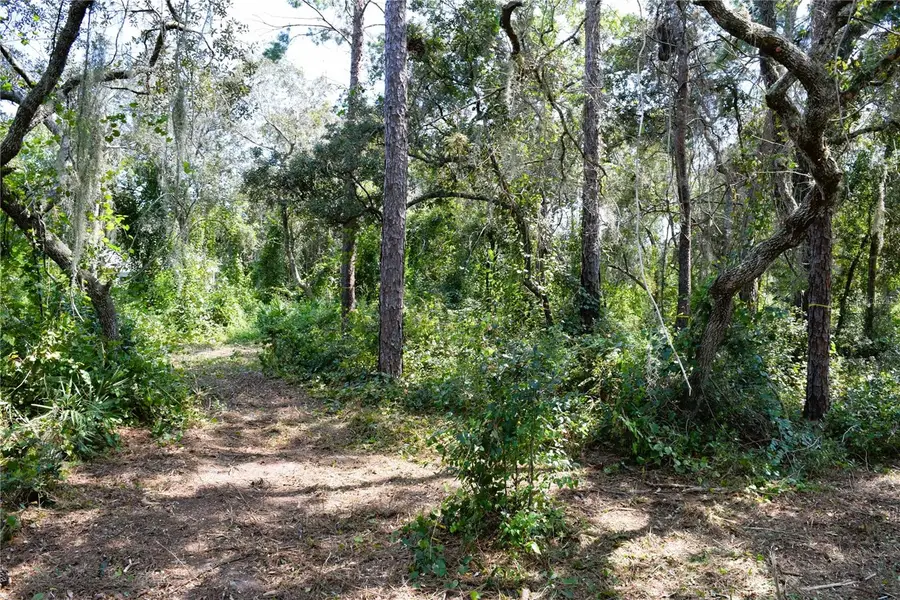 625 Lake Butler Avenue, Osteen, FL 32764 - #2