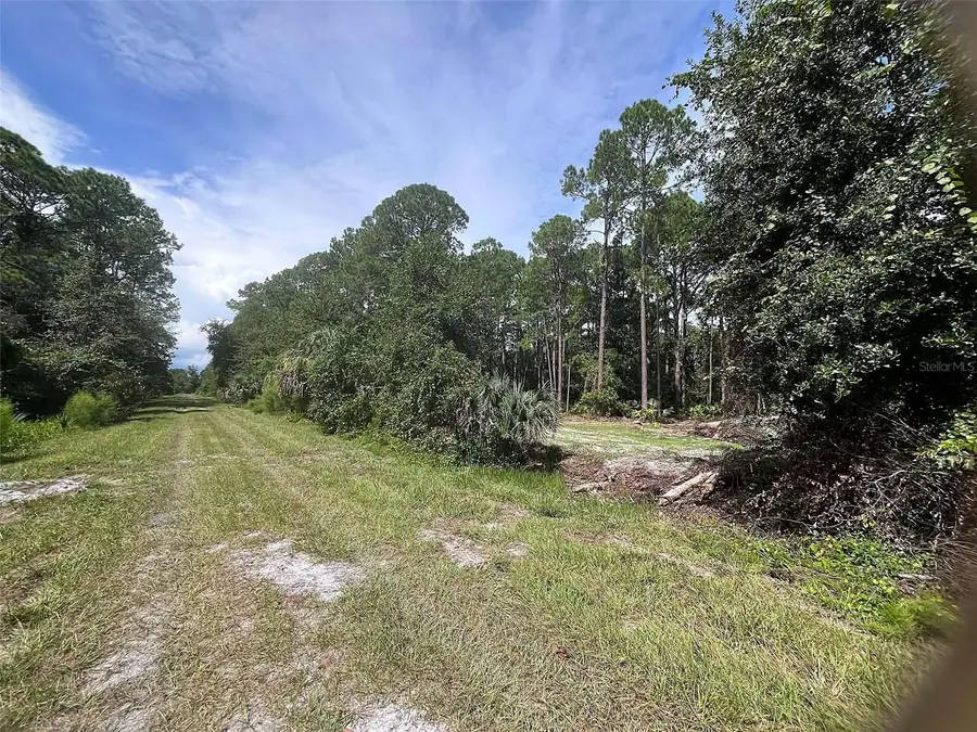 334 Redwood Boulevard, Georgetown, FL 32139 - #2