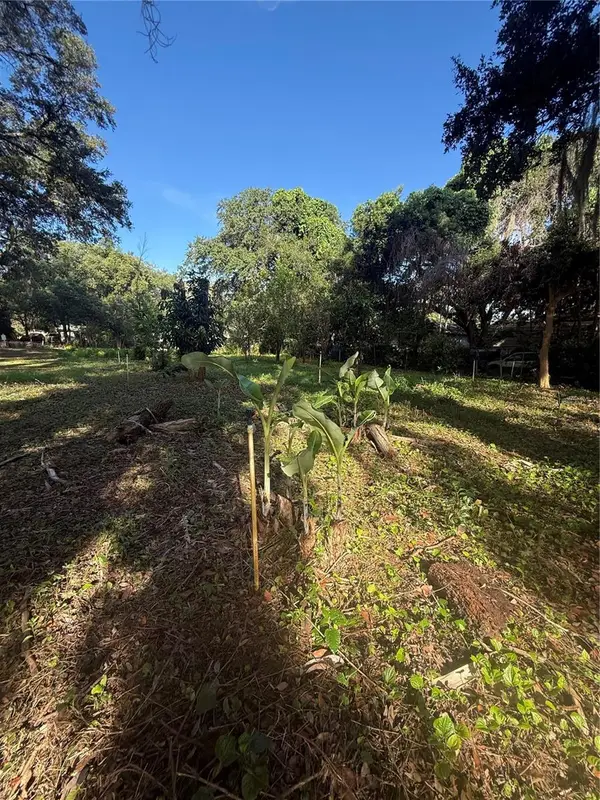 Orange Avenue, SANFORD, FL 32773