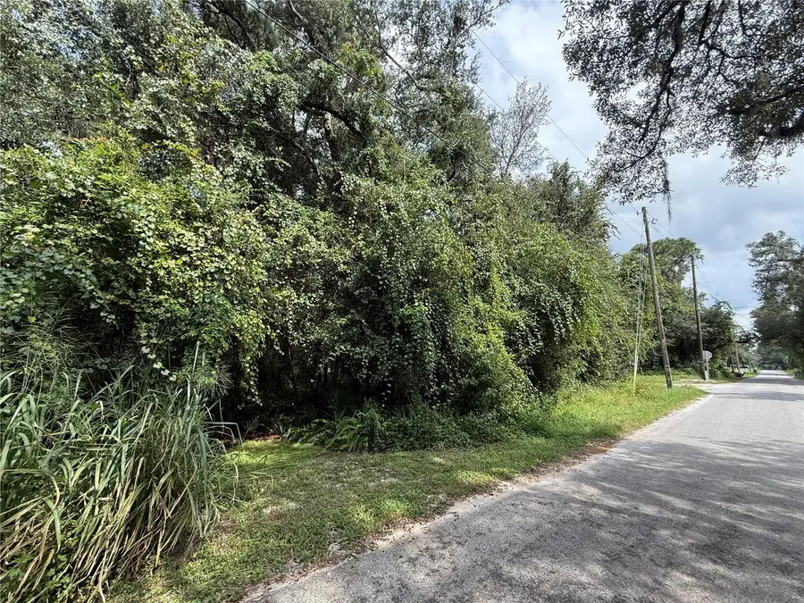 10th Street, Orange City, FL 32763 - #3
