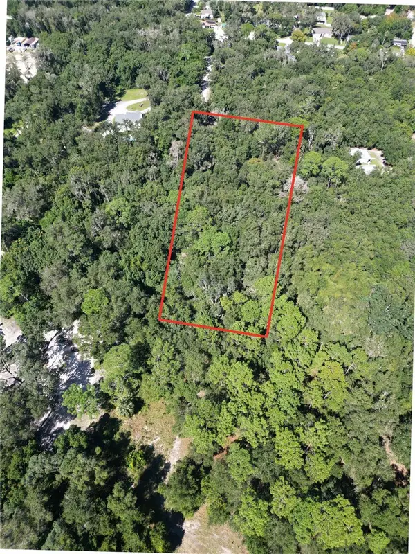 W Ohio Avenue, LAKE HELEN, FL 32744