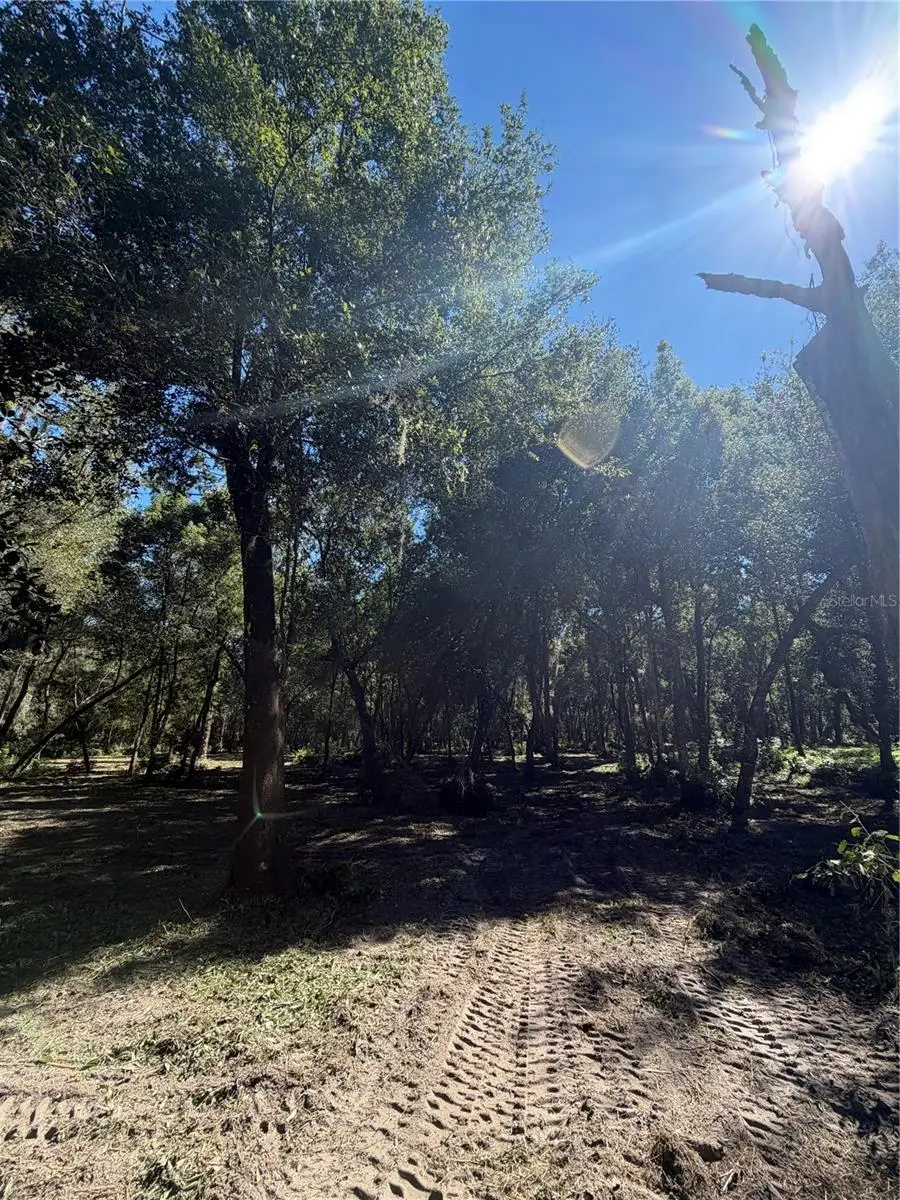 W Ohio Avenue, Lake Helen, FL 32744 - #3