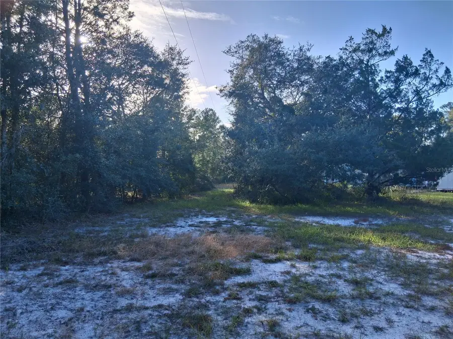 1875 Alameda Drive, De Leon Springs, FL 32130 - #2