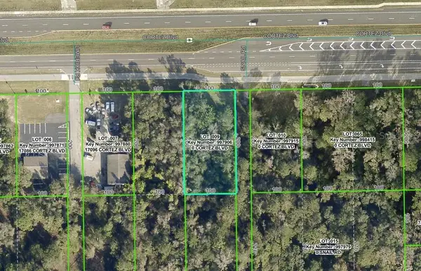 17108 Cortez Boulevard, BROOKSVILLE, FL 34601