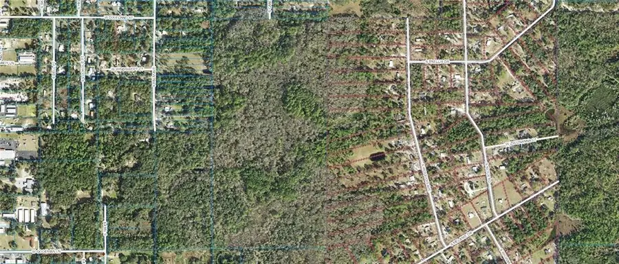 1500 S Candlenut & 1627 S Palm Avenue, Homosassa, FL 34448 - Image #2