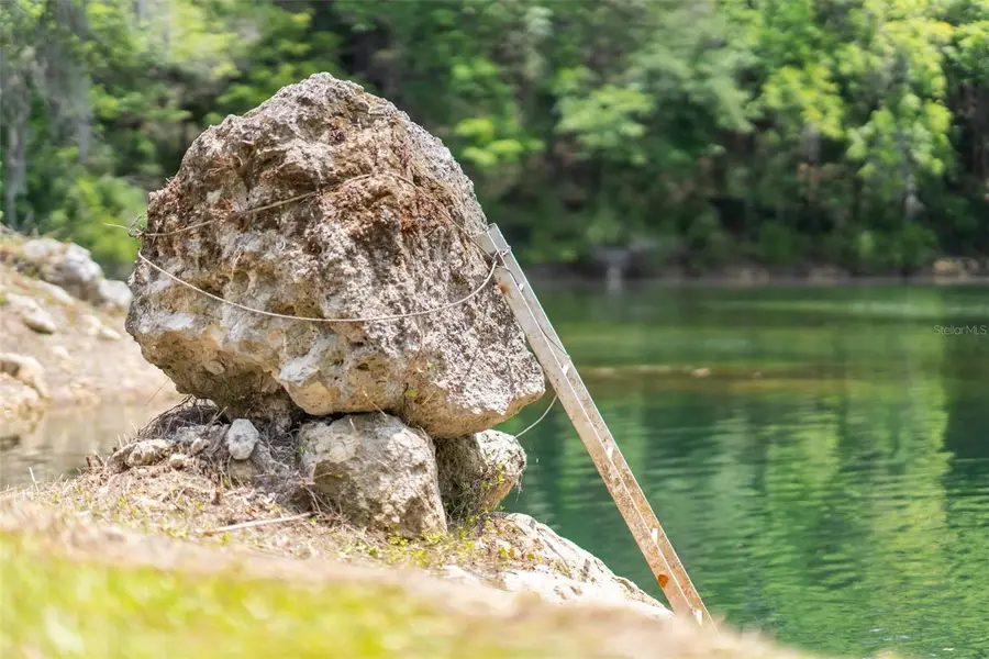 9986 E New Hope Court, Floral City, FL 34436 - Image #2