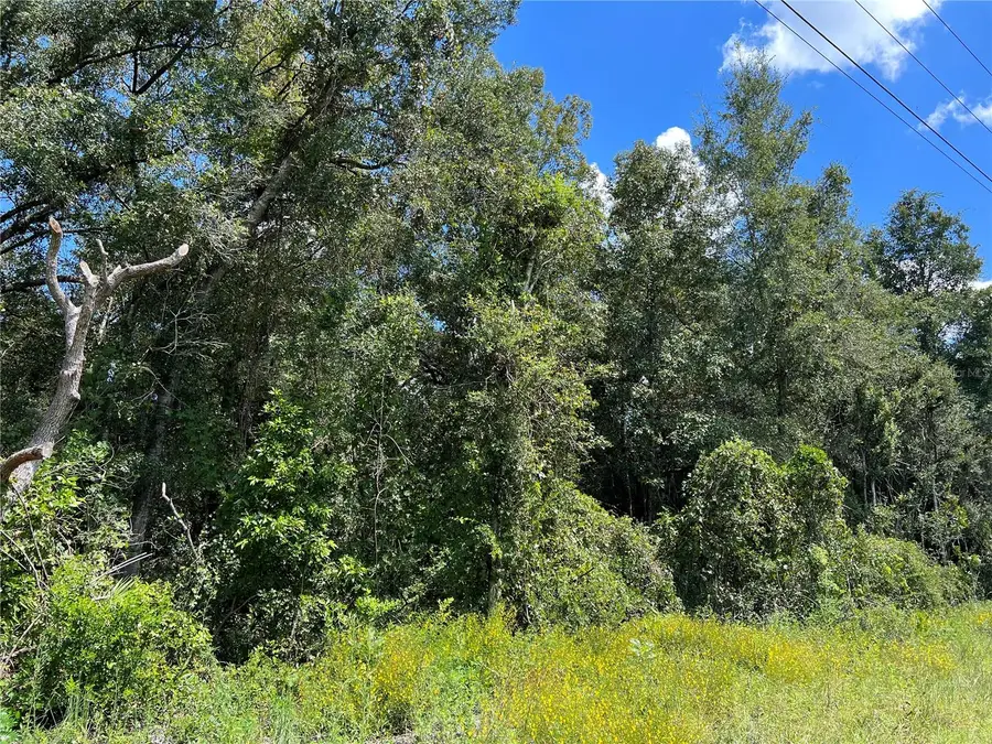 NW Us 19 Highway, Chiefland, FL 32626 - Image #3