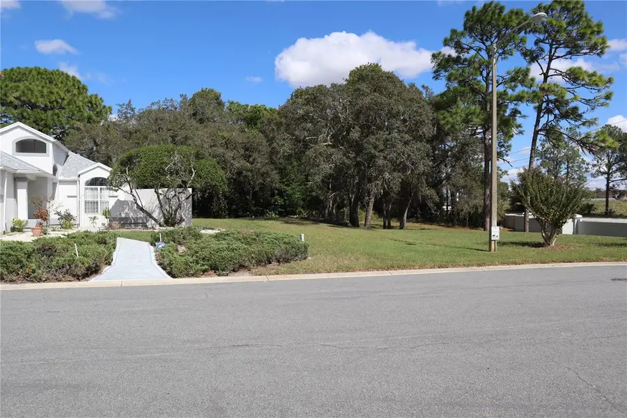 11053 Via Santiago Court, Spring Hill, FL 34608 - #2