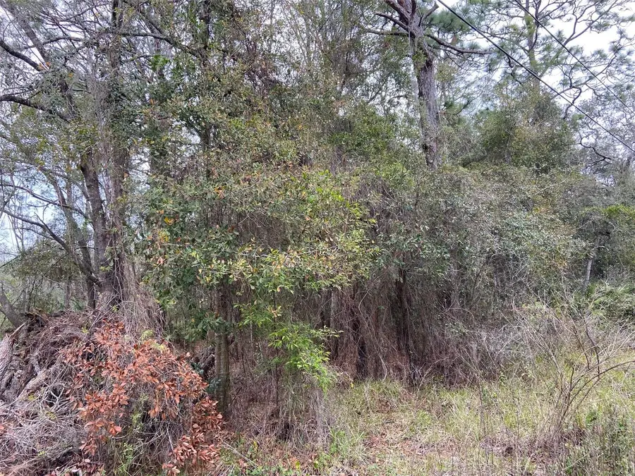 0 Purdue Street, New Port Richey, FL 34654 - Image #2