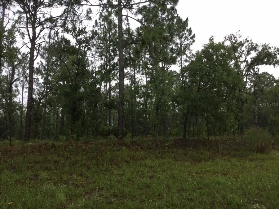 2191 W Citrus Springs Boulevard, Dunnellon, FL 34434 - #2