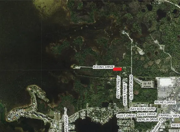 5350 Koons Drive, PORT RICHEY, FL 34668