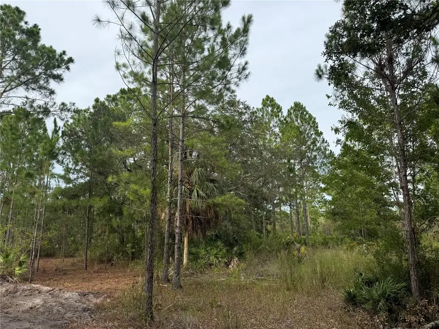 00 SW 103rd Court, Cedar Key, FL 32625 - Image #3