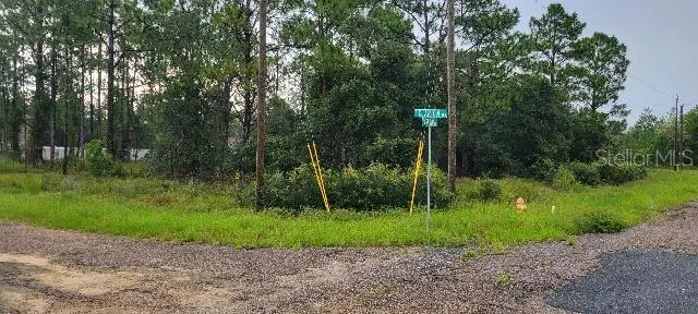 6567 N Clarion Terrace, Citrus Springs, FL 34433 - #2