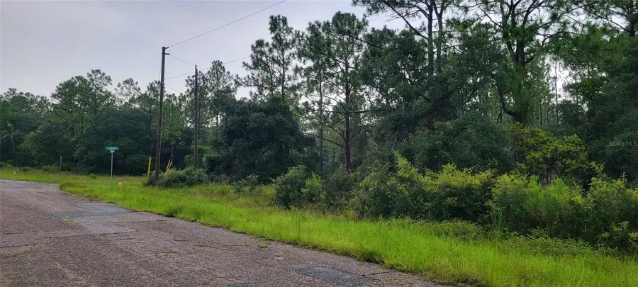 6567 N Clarion Terrace, Citrus Springs, FL 34433 - #3