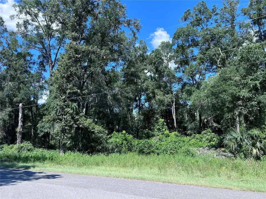 00 NW 90th Court, Fanning Springs, FL 32693 - Image #3