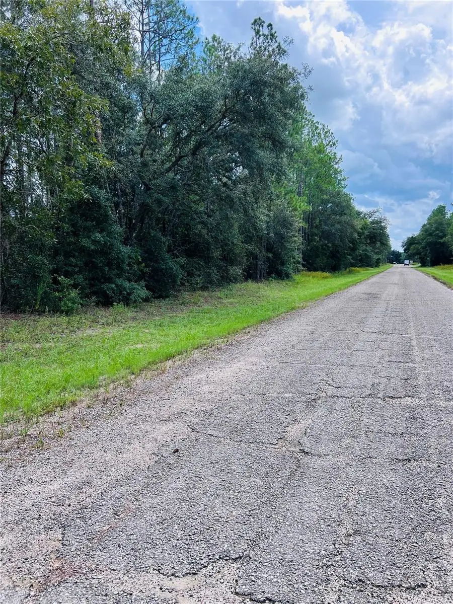 8681 N Wallingford Avenue, Citrus Springs, FL 34434 - Image #3