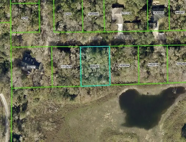 Fitzhugh Avenue, Brooksville, FL 34601 - Image #1
